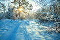 Rural winter landscape with sunset, the forest and the road Royalty Free Stock Photo