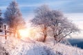 Tree covered by frost and mountain view on sunrise. natural winter background Royalty Free Stock Photo