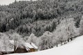 Countryside landscape scene with old  trees and a farmhouse between a snow field and a forest Royalty Free Stock Photo