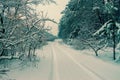 Rural winter snowy landscape