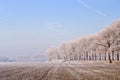 Rural winter in Zeeland, the Netherlands