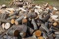 Rural wood storage of sawed tree trunks and a stack of firewood in a garden in sunny winter Royalty Free Stock Photo