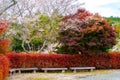 Rural wooden benches in autumn park or public garden, colourful autumn trees background in Japan.