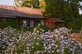 Wooden house with carved windows in Vologda Russia . Russian style in architecture. Rustic russian house with garden Royalty Free Stock Photo