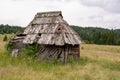 Rural Wooden Hut Old Abandoned and Pine Trees Forest Landscape Royalty Free Stock Photo