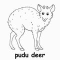 Kids line illustration coloring pudu deer. outline vector for children. cute cartoon characters Royalty Free Stock Photo