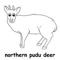 Kids line illustration coloring northern pudu deer. outline vector for children. cute cartoon characters Royalty Free Stock Photo