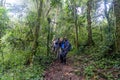 Rushaga, Bwindi Impenetrable Forest National Park, Uganda - March 24, 2023: Happy hikers return from a gorilla trek through the