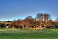 Rushcutters Bay Park Sydney Royalty Free Stock Photo