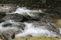 A rushing and deeply secluded stream flows through the lush vegetation of a southern forest