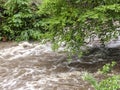 Rushing Rapid Water from Flash Flood in Stream Royalty Free Stock Photo