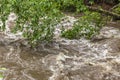 Rushing Rapid Water from Flash Flood in Stream Royalty Free Stock Photo