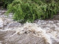 Rushing Rapid Water from Flash Flood in Stream Royalty Free Stock Photo