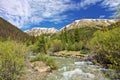 A Rushing Lake Fork of the Gunnison River at Grizzly Gulch