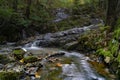 Rushing mountain stream, autumn atmosphere Royalty Free Stock Photo