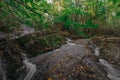 Rushing mountain stream, autumn atmosphere Royalty Free Stock Photo