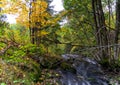 Rushing mountain stream, autumn atmosphere Royalty Free Stock Photo