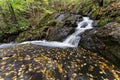 Rushing mountain stream, autumn atmosphere Royalty Free Stock Photo