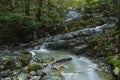 Rushing mountain stream, autumn atmosphere Royalty Free Stock Photo