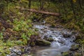 Rushing mountain stream, autumn atmosphere Royalty Free Stock Photo