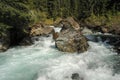 Rushing mountain stream deep in a valley of Strathcona Provincial Park, British Columbia, Canada Royalty Free Stock Photo