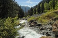 Rushing mountain stream deep in a valley of Strathcona Provincial Park, British Columbia, Canada Royalty Free Stock Photo