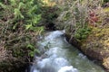 Rushing mountain stream after a downpour Royalty Free Stock Photo