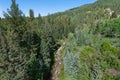 Rushing mountain stream