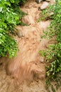 Rushing Muddy Floodwaters