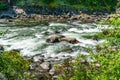 Rushing Northwest River Royalty Free Stock Photo