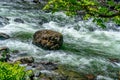 Rushing Northwest River 2 Royalty Free Stock Photo