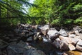 Rushing rapids in the White Mountains