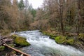 Rushing Whitewater Rapids Wilderness River Royalty Free Stock Photo