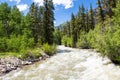 Rushing river in Colorado Royalty Free Stock Photo