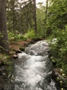 Rushing river tumbling over rocks down a mountain side in Utah Royalty Free Stock Photo