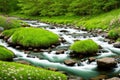 rushing stream full of rocks with green field with grass and flowers