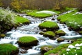 rushing stream full of rocks with green field with grass and flowers and some snow