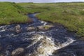 Rushing stream in green vegetation, Newfoundland