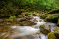 Rushing Stream in Mossman Gorge Royalty Free Stock Photo