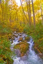 Rushing Stream Running Through the Rocks and Leaves of the Fall Forest Royalty Free Stock Photo