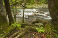 Rushing stream in springtime. Royalty Free Stock Photo