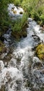 Rushing Stream Tumbles Over Mossy Rocks at Cascade Springs in the Wasatch Mountains of Utah Royalty Free Stock Photo