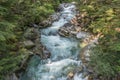 Rushing Water on Denny Creek 4