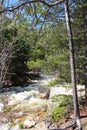 Rushing water downstream of the Copeland Falls on the Wild Basin Trail in Rocky Mountain National Park