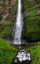 rushing water fall along a moss covered cliff Royalty Free Stock Photo