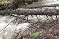 Rushing Water from Flash Flood in Stream Royalty Free Stock Photo