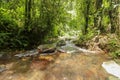 Rushing water flows through creek bed in rain forest. Water Flow Royalty Free Stock Photo