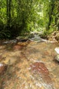 Rushing water flows through creek bed in rain forest. Water Flow Royalty Free Stock Photo