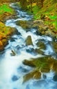 Rushing Water in a Mountain Stream Royalty Free Stock Photo