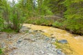 Rushing water muddied by placer mining in northern canada Royalty Free Stock Photo